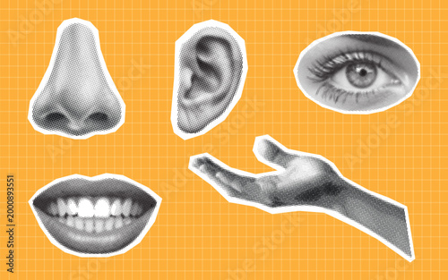Halftone collage elements of five human sense,Human body parts in halftone texture elements, dotted retro style, vintage grunge vector illustration.