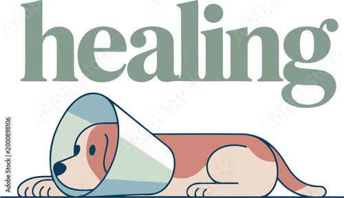Dog wearing cone of shame with healing text animal