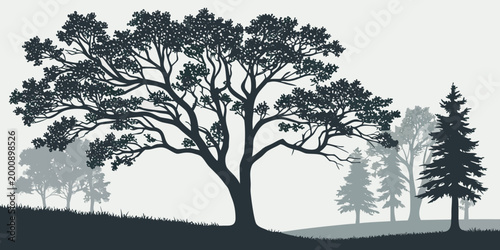 Landscape silhouette illustration featuring diverse forest trees landscape silhouette woodland environment vegetation deciduous wilderness botanical background illustration minimalist
