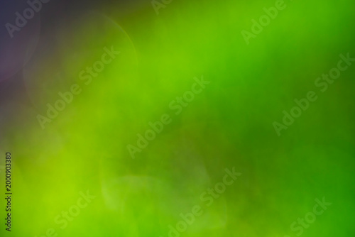 Canvas Print A vibrant wash of green blends with darker tones, creating an ethereal atmosphere