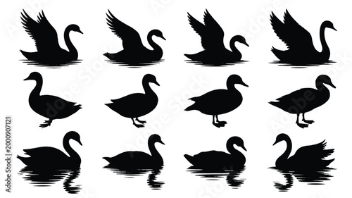 A set of 12 black and white silhouette illustrations of waterfowl arranged in three rows