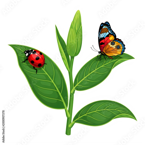 Ladybug and butterfly sitting on fresh green tea leaves