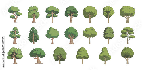 Diverse collection of green deciduous and coniferous trees.