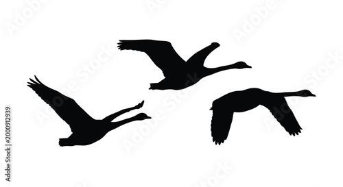 Flying geese silhouettes in motion black shapes on a white background silhouette