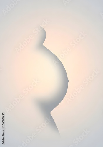 A pregnant woman's silhouette stands alone in soft light indoors.