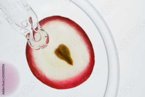 Dropper extracting essential oil from grape slice in laboratory setting