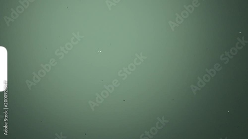 Retro 8mm Film Frame Overlay With Punch Holes And Sprocket
