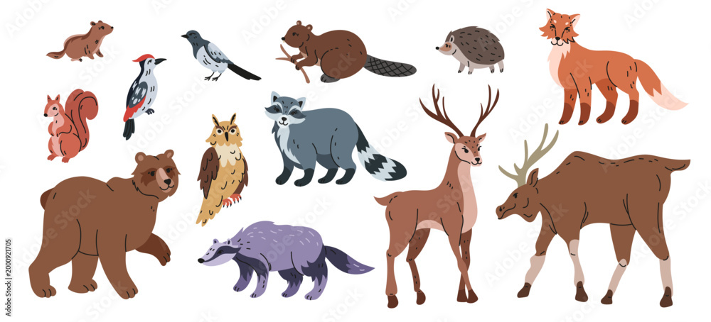 Obraz premium Animal forest. Mammals in woods. Deer, fox, raccoon in wild fauna. Zoo cartoon. Woodland character, cute mascot at tree. Drawing children. Vector tidy biology cartoon flat isolated illustration set