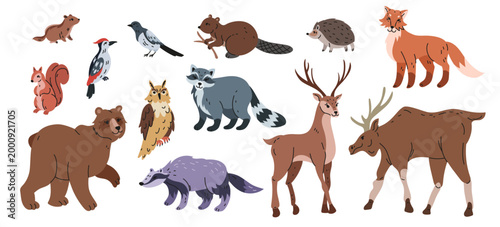 Animal forest. Mammals in woods. Deer, fox, raccoon in wild fauna. Zoo cartoon. Woodland character, cute mascot at tree. Drawing children. Vector tidy biology cartoon flat isolated illustration set