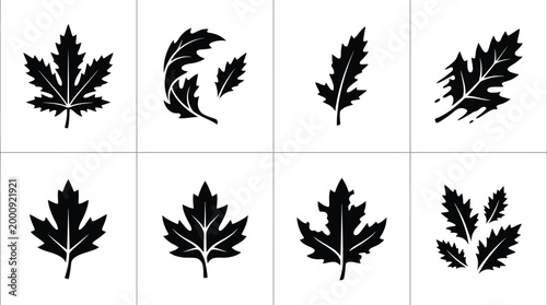 Eine Sammlung von acht verschiedenen schwarzen Blattsilhouetten, darunter Ahornblätter und andere Laubformen, auf weißem Hintergrund.
