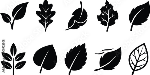 Eine Sammlung von zehn verschiedenen Blattsilhouetten, die verschiedene Formen und Zustände von Blättern darstellen.