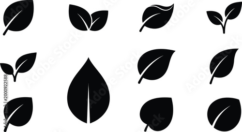 Sammlung von zwölf stilisierten schwarzen Blattsilhouetten auf weißem Hintergrund, die verschiedene Blattformen und -designs darstellen.