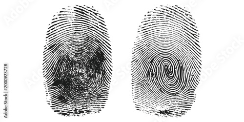 Two detailed black human fingerprint impressions isolated for biometric identification and security concepts