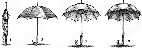 Umbrella sketches, closed umbrella, open canopy, rounded parasol, shading detail, curved handle, black and white illustration, vector artwork,
