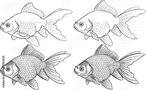 Goldfish line art vector set featuring detailed and simple fish drawings in black and white outline and engraved illustration styles