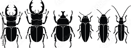Beetle and stag beetle silhouette set with rhinoceros beetle and insects collection, isolated vector illustration
