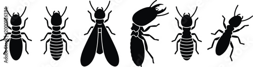 Termite Castes and Life Stages Set, CAD Drawing Flat Vector Illustration