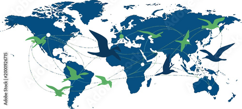 Global bird migration map vector, world map with flying birds and flight paths, ecological nature conservation concept, blue and green earth illustration