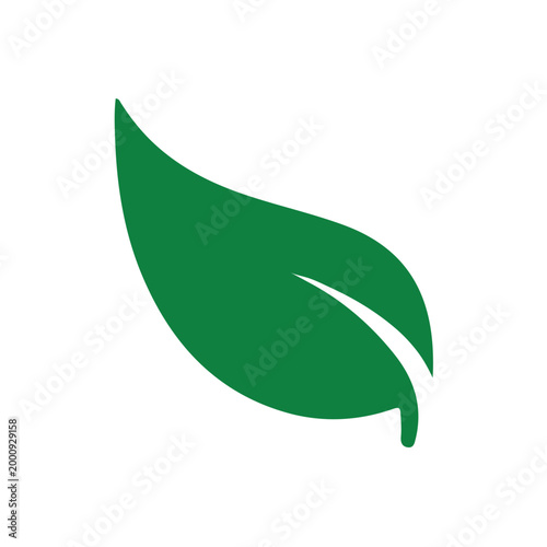 Green leaf icon, nature, plant, tree, botanical