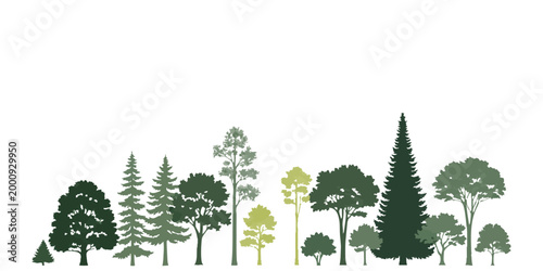 Set of various forest trees silhouettes with different shapes including pine fir and deciduous leafy plants