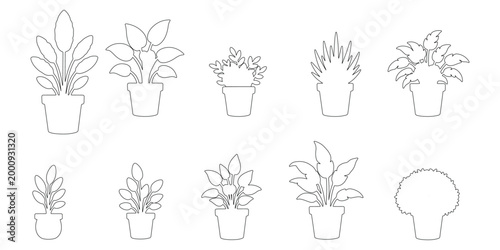 Vector set of minimalist indoor plant line art, collection of outline houseplant icons and vegetation symbols for architectural elevation and interior design.