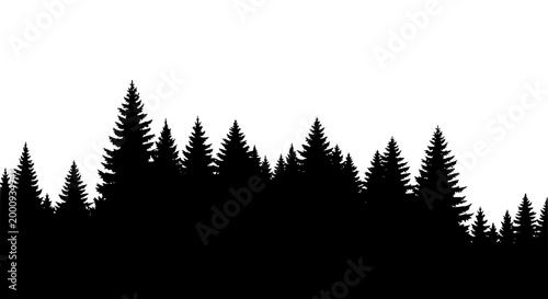 Silhouette of evergreen pine forest trees isolated on white background