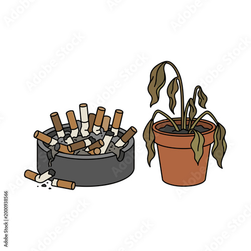 Full ashtray with cigarette butts next to wilting plant isolated on light background concept of pollution and health damage