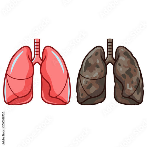 Healthy pink lungs versus damaged smoker lungs isolated on light background concept of smoking harm and medical comparison