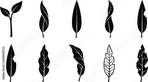 Detaillierte Darstellung verschiedener Blattformen und -zustände als schwarze Silhouetten auf weißem Hintergrund.