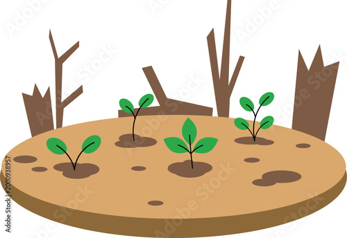 seedlings growing in soil with tree stumps
