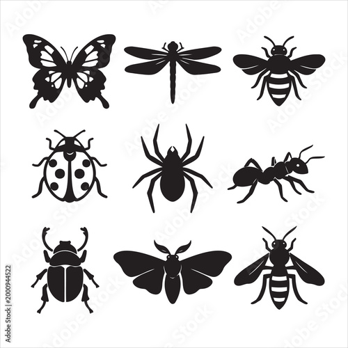Set of isolated black silhouettes of insects and arachnids including butterfly dragonfly honey bee ladybug spider ant beetle moth and wasp for nature study and wildlife illustration projects for web a
