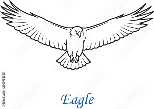 animal vector falcon eagle graphic illustration flying outline mascot