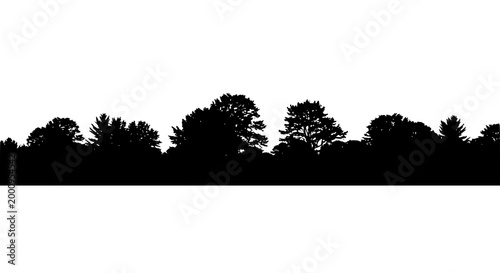Black Tree Line Silhouette Isolated on White Background