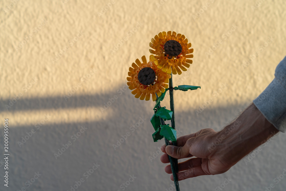 Fototapeta premium man holding two sunflowers from the LEGO collection perfect for design, graphic or illustration concepts