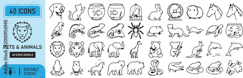 Cute cartoon animal alphabet and calligraphic design elements vector set for kids illustration and seamless patterns