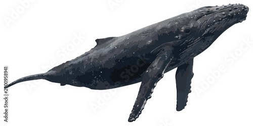 Majestic Humpback Whale Breaching in the Ocean, a Powerful Display of Marine Life's Grandeur