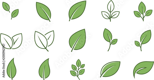 Green Leaf and Plant Icon Set with Outline and Filled Nature Foliage Symbols for Eco Organic Design Collection