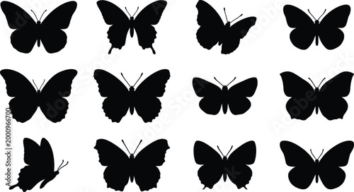Black Butterfly Silhouettes, Insect Icons, Vector Illustrations, Nature Symbols