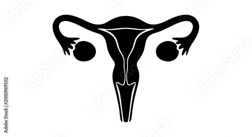 Black silhouette icon of the human female reproductive system.