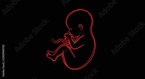 Neon red glowing line art of a human fetus.