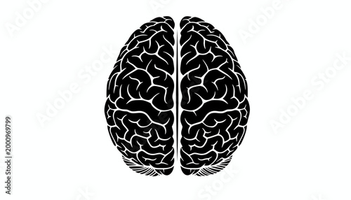 Black and white illustration of human brain hemispheres.