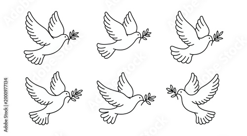 Linear dove icon, pigeon with olive branch badge symbolizing peace and freedom in clean vector illustration style.