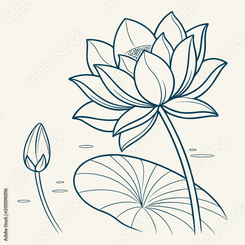 Blue line drawing of lotus flower and bud