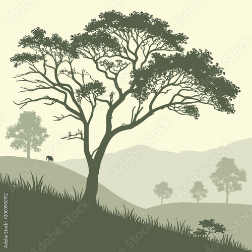 Green tree landscape with hills and mountains