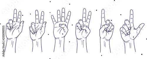 A series of six anatomical illustrations depicting the human hand in various positions and perspectives showcasing skeletal structure