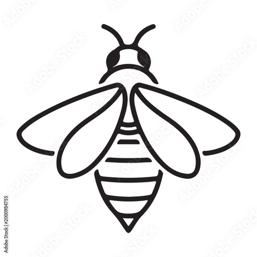Minimalist bee line art vector illustration, flat design