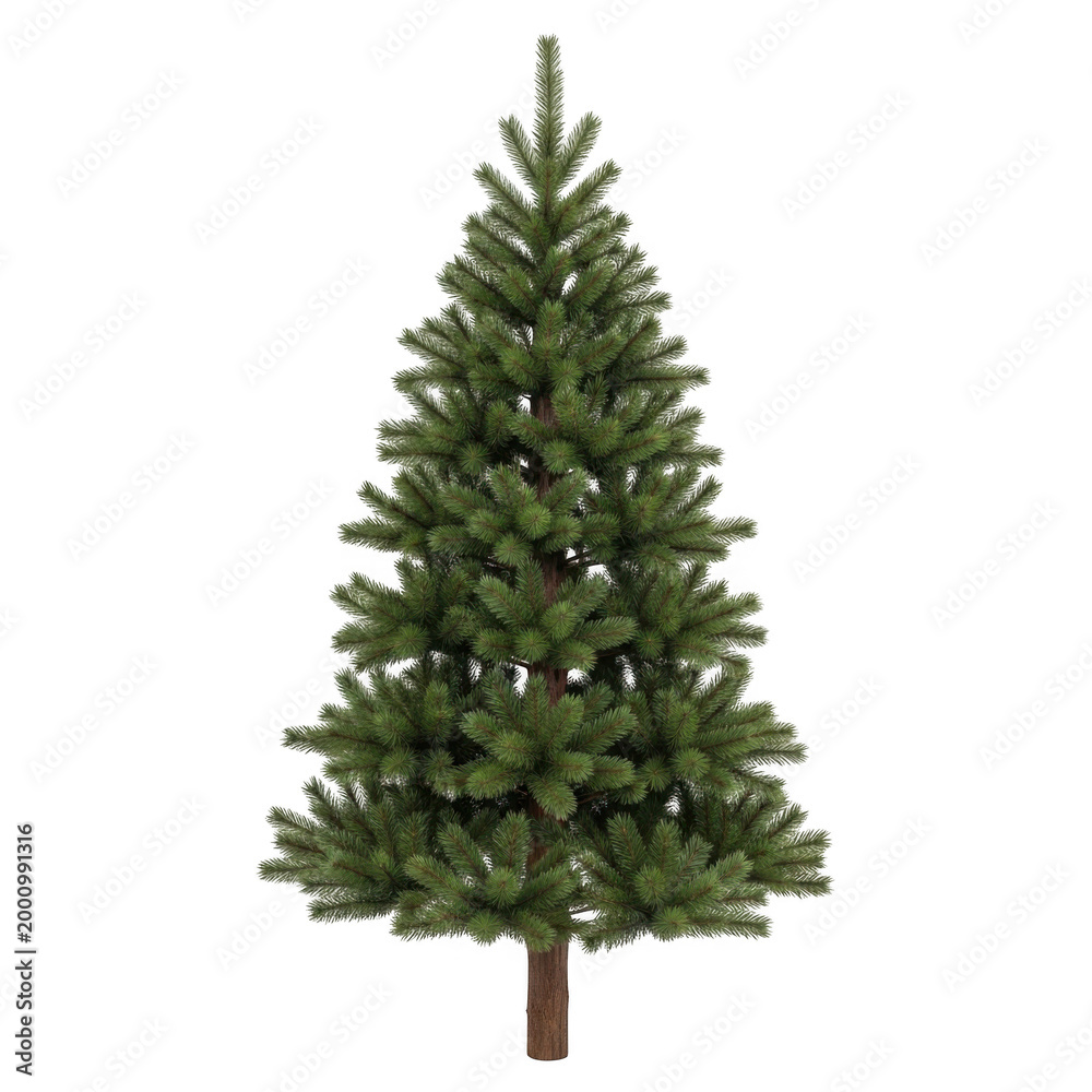 Fototapeta premium A lush green christmas tree standing upright with full foliage