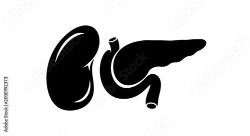 Black and white vector icon of human kidney and pancreas organs.