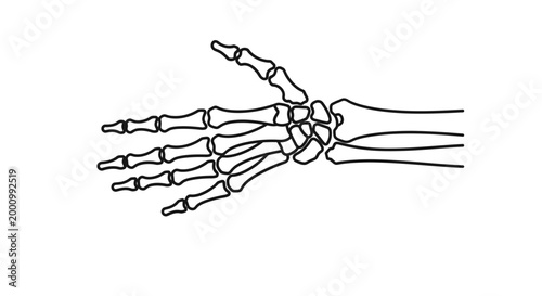Anatomical line drawing of human hand skeleton showing bones of wrist and fingers.