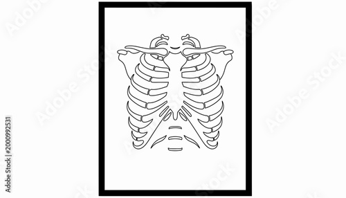 Minimalist black and white line art illustration of human rib cage.